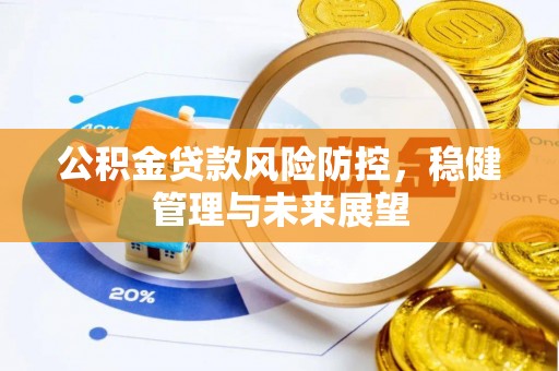 台东公积金贷款风险防控，稳健管理与未来展望