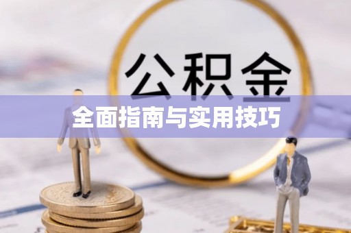 台东全面指南与实用技巧