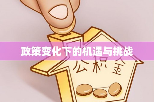 台东政策变化下的机遇与挑战