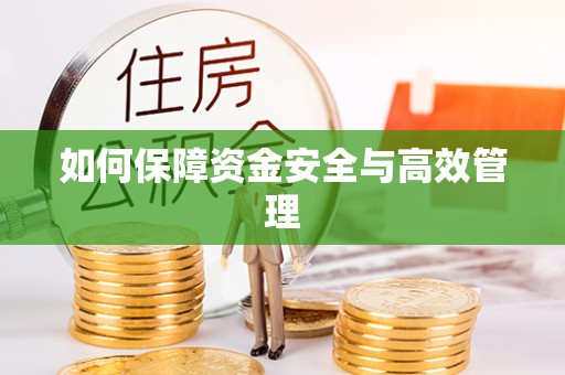 台东如何保障资金安全与高效管理