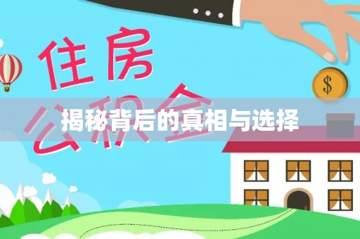 台东揭秘背后的真相与选择