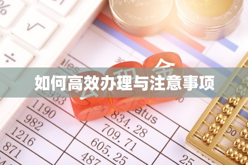 台东如何高效办理与注意事项