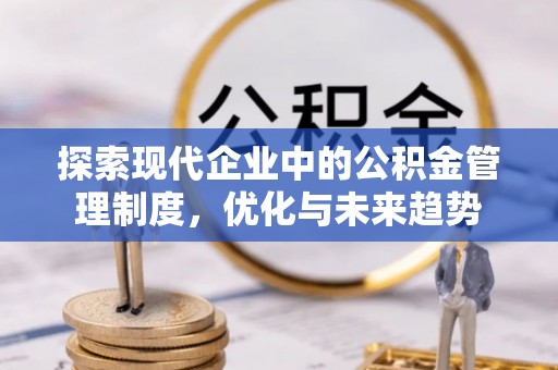 台东探索现代企业中的公积金管理制度，优化与未来趋势