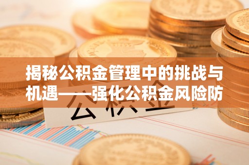 台东揭秘公积金管理中的挑战与机遇——强化公积金风险防控的多维策略