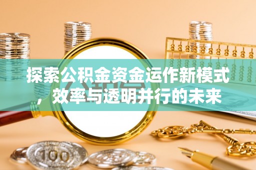 台东探索公积金资金运作新模式，效率与透明并行的未来