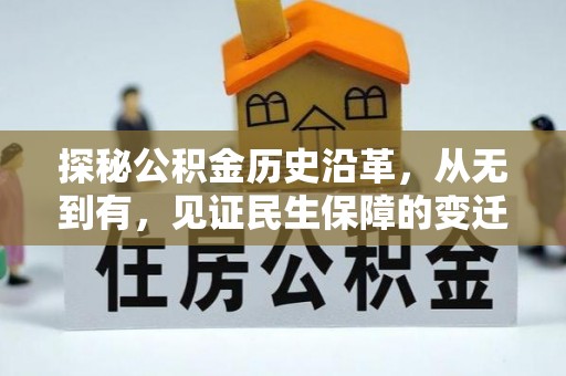 台东探秘公积金历史沿革，从无到有，见证民生保障的变迁