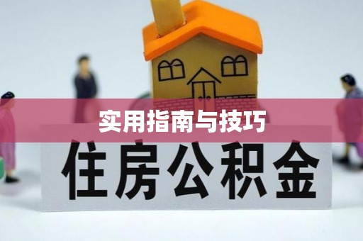 台东实用指南与技巧