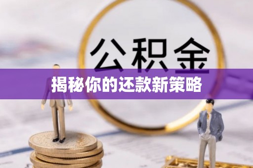 台东揭秘你的还款新策略