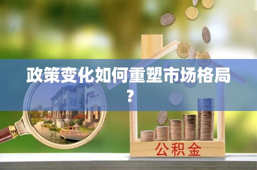 台东政策变化如何重塑市场格局？