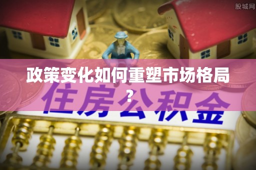 台东政策变化如何重塑市场格局？
