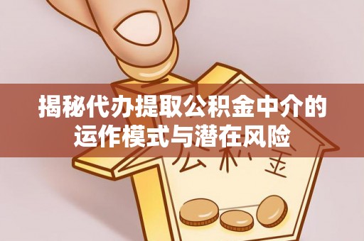 台东揭秘代办提取公积金中介的运作模式与潜在风险