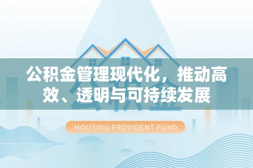 台东公积金管理现代化，推动高效、透明与可持续发展