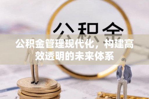 台东公积金管理现代化，构建高效透明的未来体系