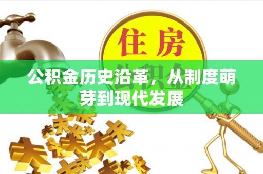 台东公积金历史沿革，从制度萌芽到现代发展