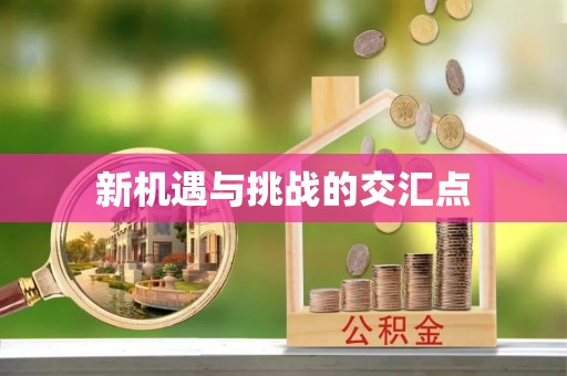 台东新机遇与挑战的交汇点