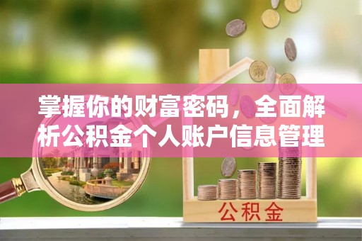 台东掌握你的财富密码，全面解析公积金个人账户信息管理与优化