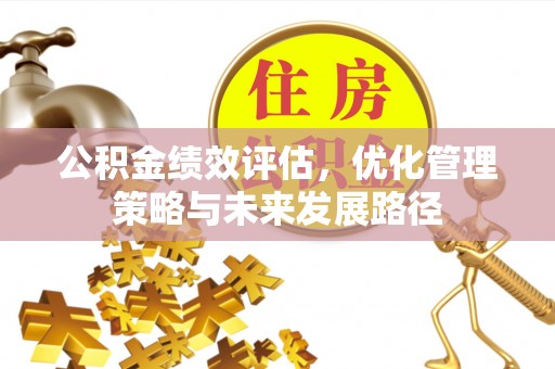 台东公积金绩效评估，优化管理策略与未来发展路径