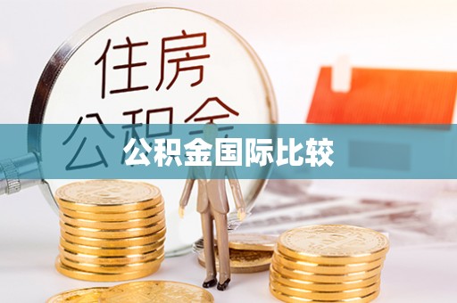 台东公积金国际比较