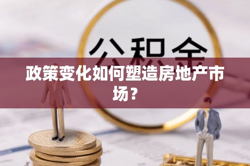 台东政策变化如何塑造房地产市场？