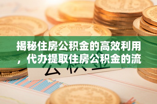 台东揭秘住房公积金的高效利用，代办提取住房公积金的流程与技巧