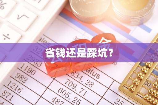 台东省钱还是踩坑？