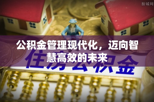 台东公积金管理现代化，迈向智慧高效的未来