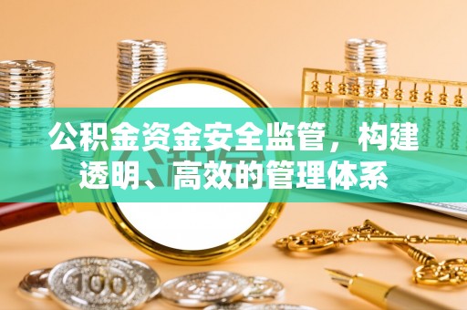 台东公积金资金安全监管，构建透明、高效的管理体系