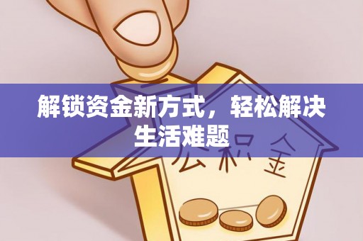 台东解锁资金新方式，轻松解决生活难题