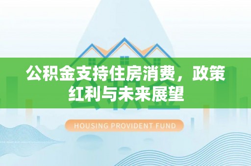 台东公积金支持住房消费，政策红利与未来展望