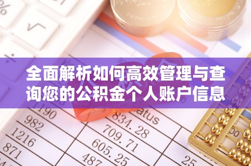台东全面解析如何高效管理与查询您的公积金个人账户信息