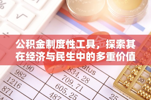 台东公积金制度性工具，探索其在经济与民生中的多重价值