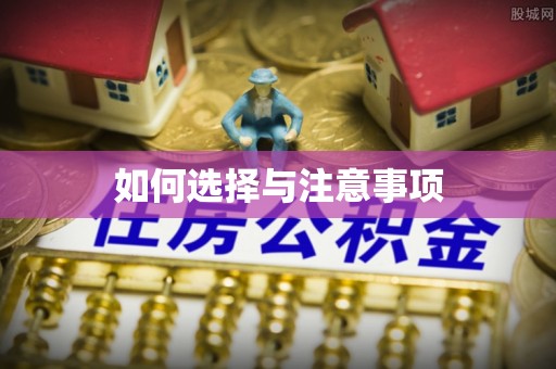台东如何选择与注意事项