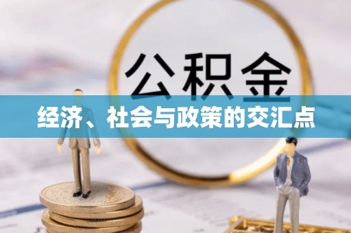 台东经济、社会与政策的交汇点