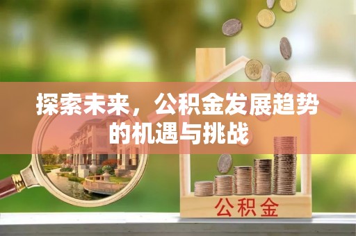 台东探索未来，公积金发展趋势的机遇与挑战