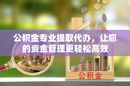 台东公积金专业提取代办，让您的资金管理更轻松高效