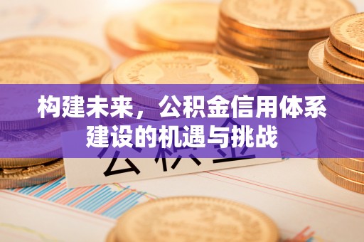 台东构建未来，公积金信用体系建设的机遇与挑战