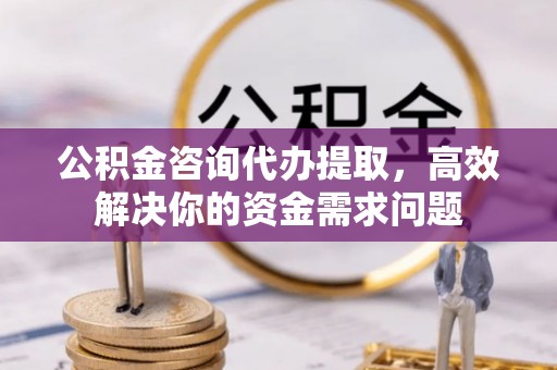 台东公积金咨询代办提取，高效解决你的资金需求问题