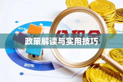 台东政策解读与实用技巧