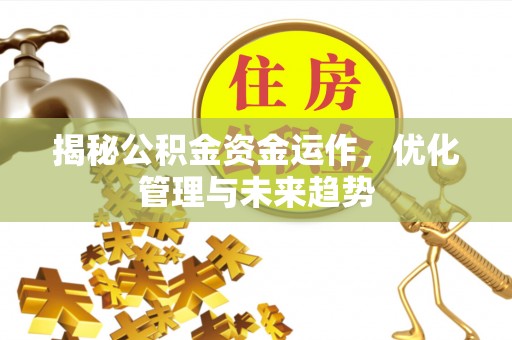 台东揭秘公积金资金运作，优化管理与未来趋势
