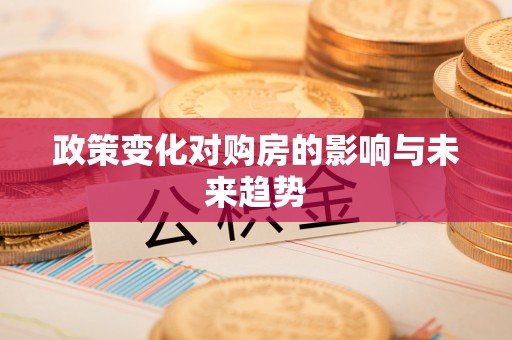 台东政策变化对购房的影响与未来趋势
