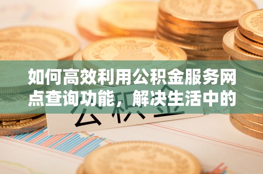 台东如何高效利用公积金服务网点查询功能，解决生活中的资金难题