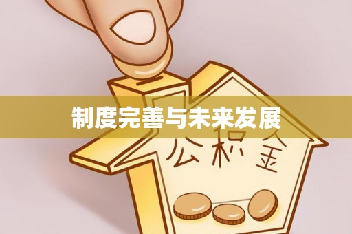 台东制度完善与未来发展