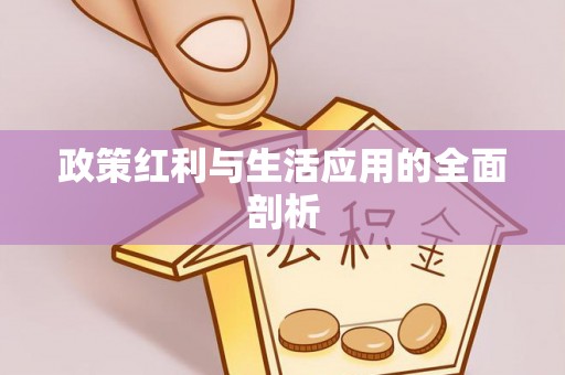 台东政策红利与生活应用的全面剖析
