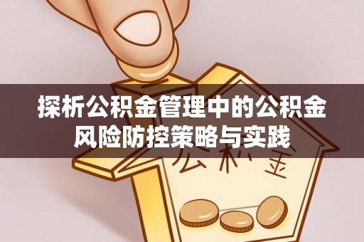 台东探析公积金管理中的公积金风险防控策略与实践