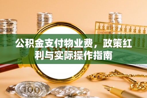 台东公积金支付物业费，政策红利与实际操作指南