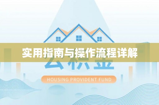 台东实用指南与操作流程详解