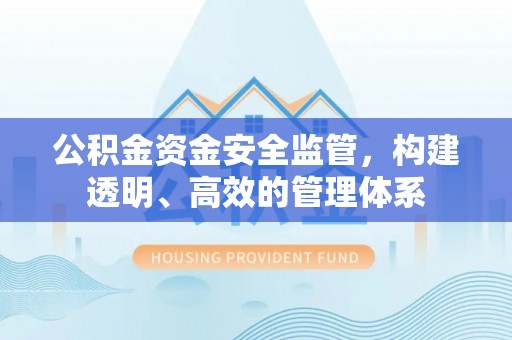 台东公积金资金安全监管，构建透明、高效的管理体系