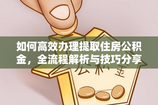台东如何高效办理提取住房公积金，全流程解析与技巧分享