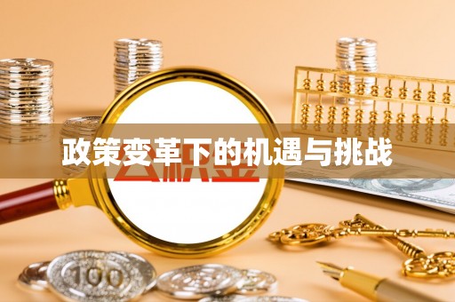 台东政策变革下的机遇与挑战