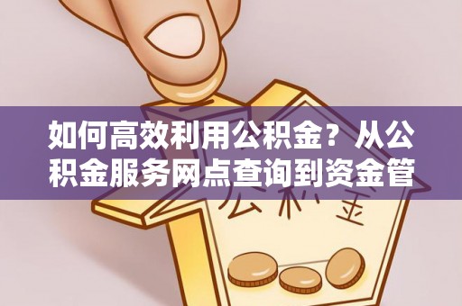 台东如何高效利用公积金？从公积金服务网点查询到资金管理全攻略